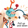 Otteberry's Montessori Sensory Toy