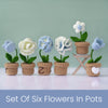 Flower Pot Set Crochet Kit