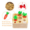 Carrots Harvest Box Eco-Friendly Wooden Montessori Toy