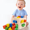 Montessori Shape Sorting Wooden Cube